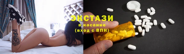 ECSTASY Бородино